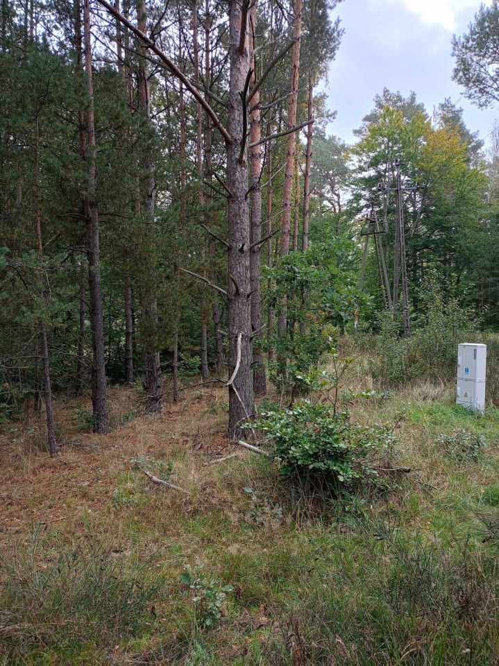 Działka budowlana Łośno. Zdjęcie 7