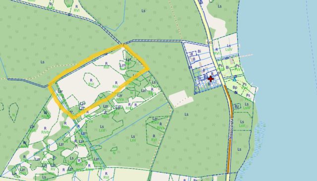 Działka rolna Wilkasy Strzelce. Zdjęcie 1