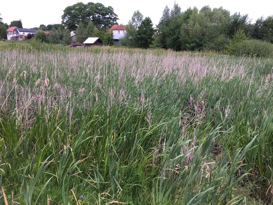 Działka budowlana Łączno. Zdjęcie 4