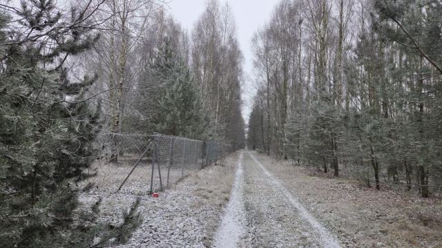 Działka rekreacyjna Osada-Wola. Zdjęcie 9