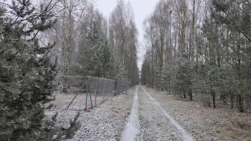 Działka rekreacyjna Osada-Wola. Zdjęcie 9