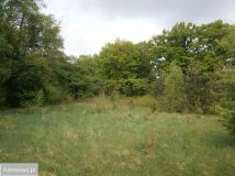 Działka budowlana Arciechów, ul. Ogólna. Zdjęcie 1