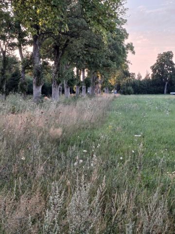 Działka budowlana Buczek. Zdjęcie 5
