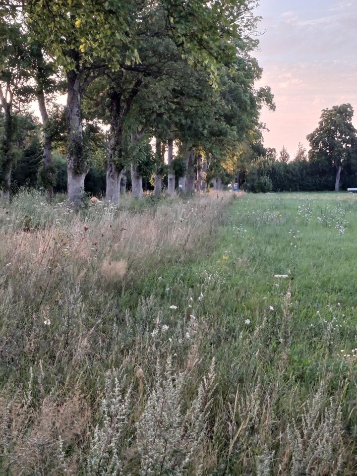 Działka budowlana Buczek. Zdjęcie 5