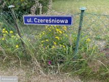 Działka rod Jelcz-Laskowice, ul. Piastowska. Zdjęcie 3