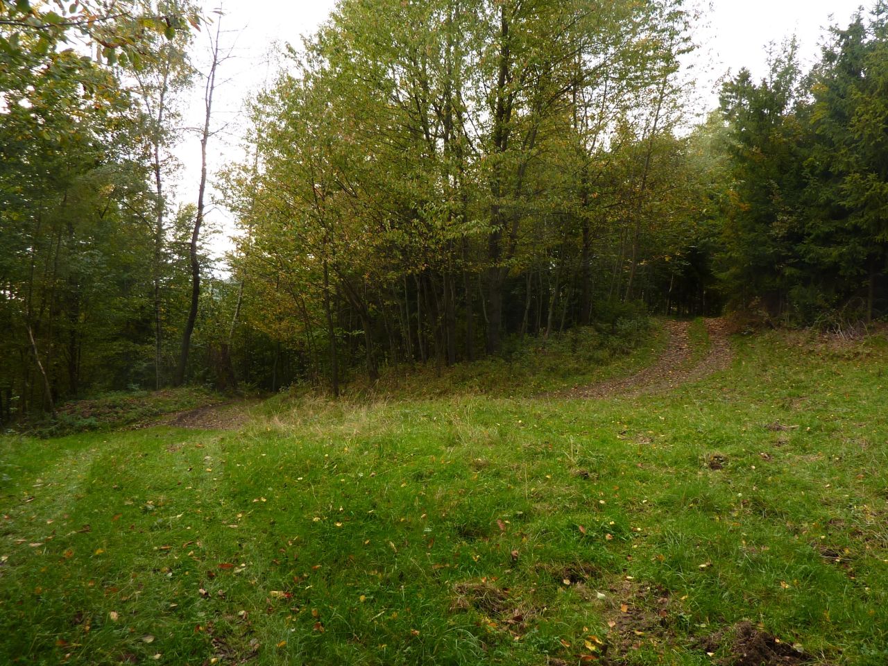 Działka rolna Pewel Wielka Garleje. Zdjęcie 18