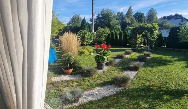 Działka rod Pabianice