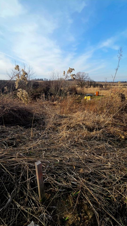 Działka budowlana Trzebnica, ul. Fiołkowa. Zdjęcie 7