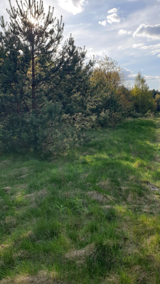 Działka rolna Tatar, Tatar. Zdjęcie 5