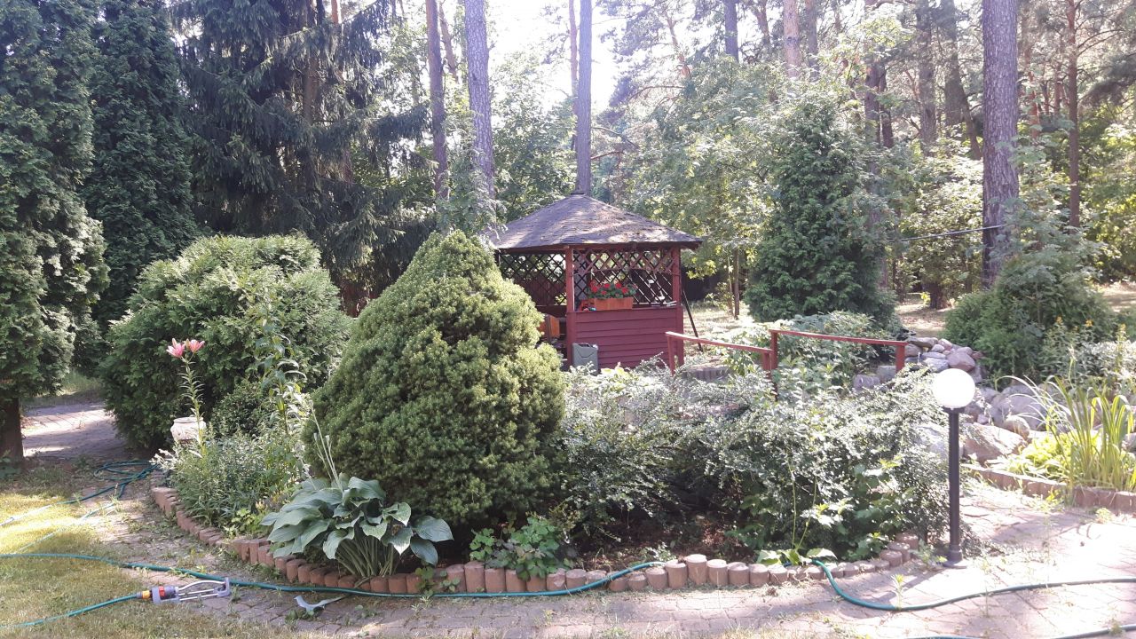 dom wolnostojący, 10 pokoi Baniocha. Zdjęcie 8