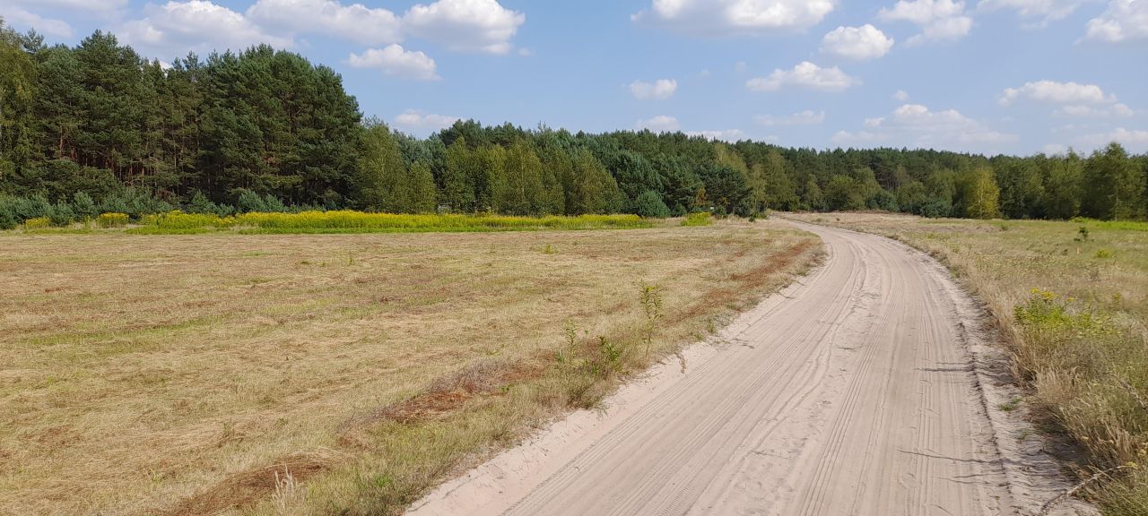 Działka budowlana Ostrówek, ul. Leśna. Zdjęcie 7