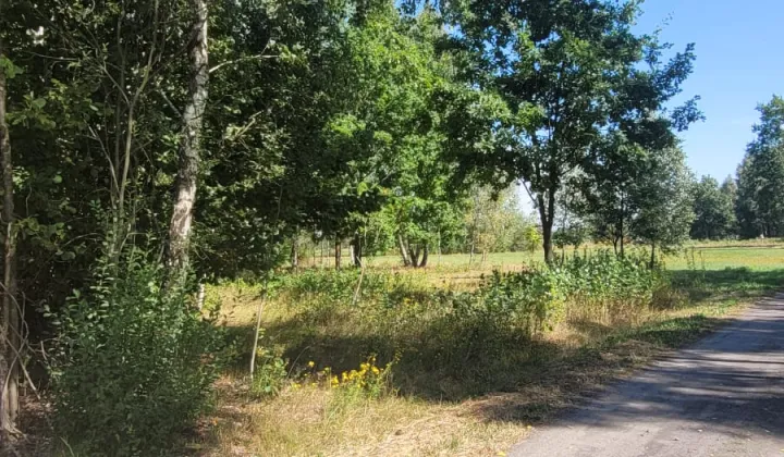 Działka budowlana Sokóle