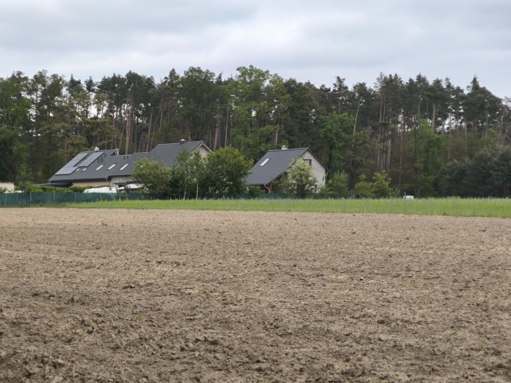 Działka siedliskowa Siedliska, ul. Pod Dębami. Zdjęcie 7