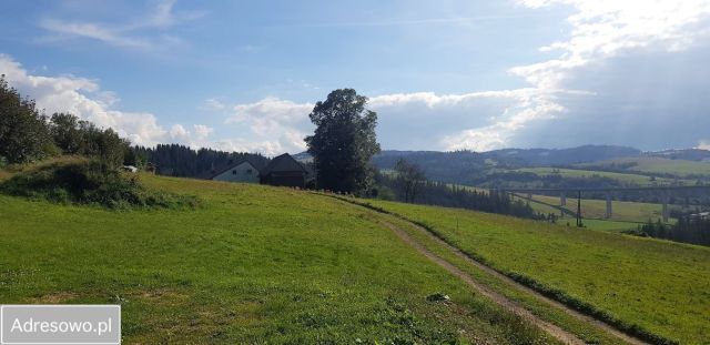 Działka budowlana Jaworzynka Kikula. Zdjęcie 1