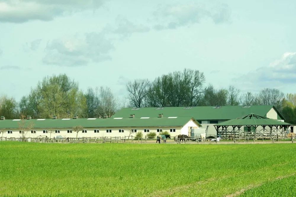 Nieruchomość komercyjna Sady. Zdjęcie 7