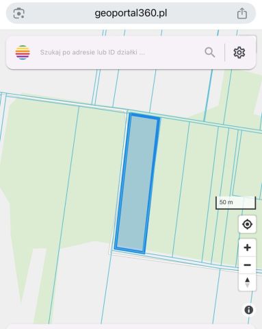 Działka leśna Szepietowo-Wawrzyńce. Zdjęcie 1