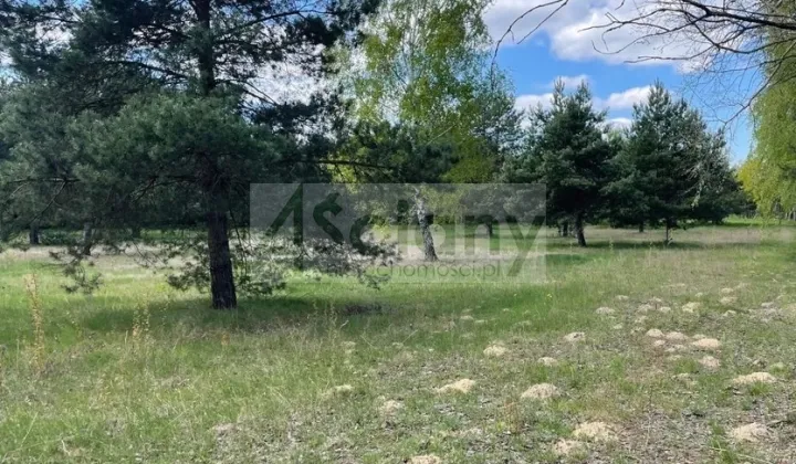 Działka budowlana Ojrzanów