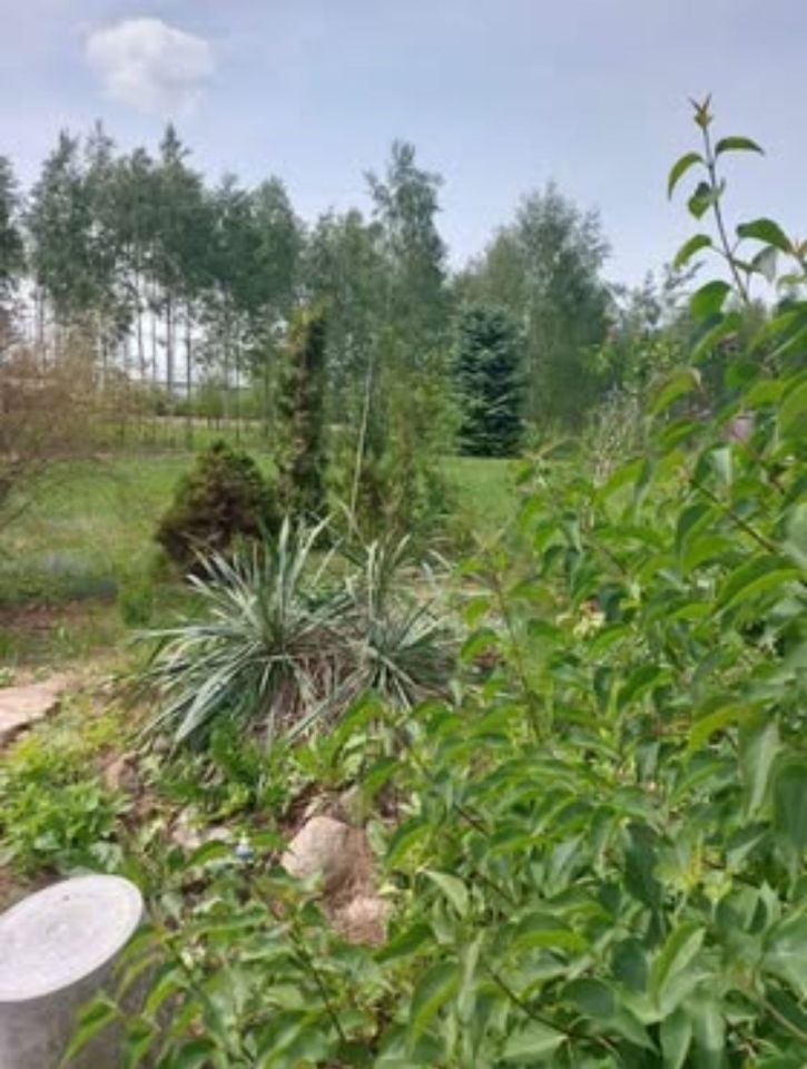 Działka budowlana Zgierz Proboszczewice, ul. Ogrodnicza. Zdjęcie 2