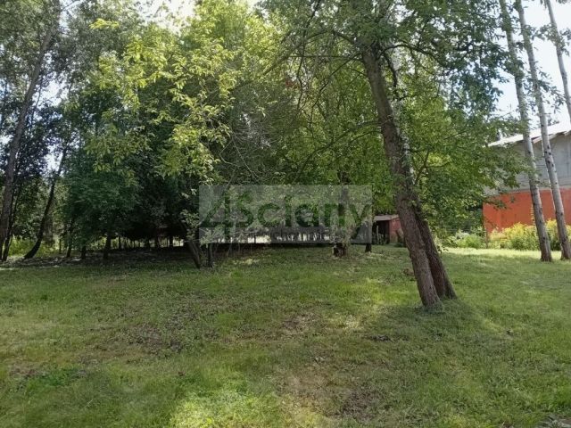 Działka budowlana Kanie. Zdjęcie 4