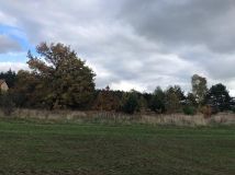 Działka inwestycyjna Ełganowo. Zdjęcie 1