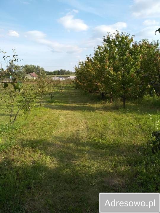 Działka rolno-budowlana Zawichost, ul. Podgórze. Zdjęcie 2