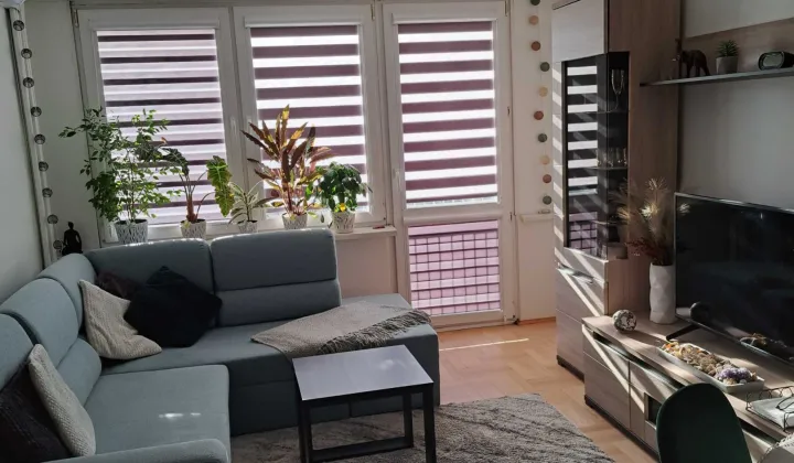 Mieszkanie 2-pokojowe Mielec