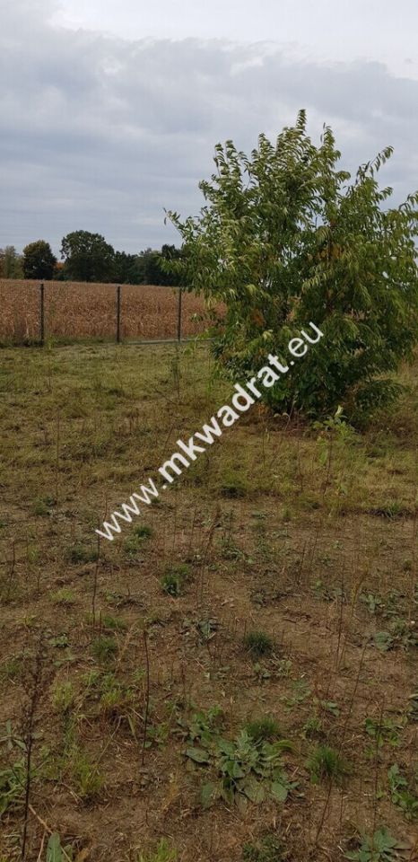 Działka budowlana Terenia. Zdjęcie 6