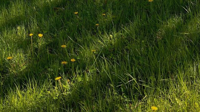 Działka budowlana Białystok Jaroszówka. Zdjęcie 3