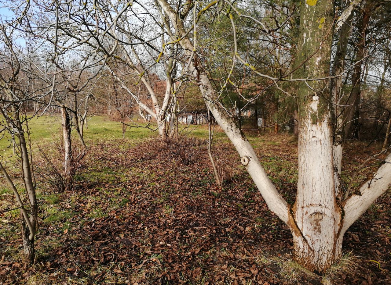 gospodarstwo Brzezinki, ul. Główna. Zdjęcie 7