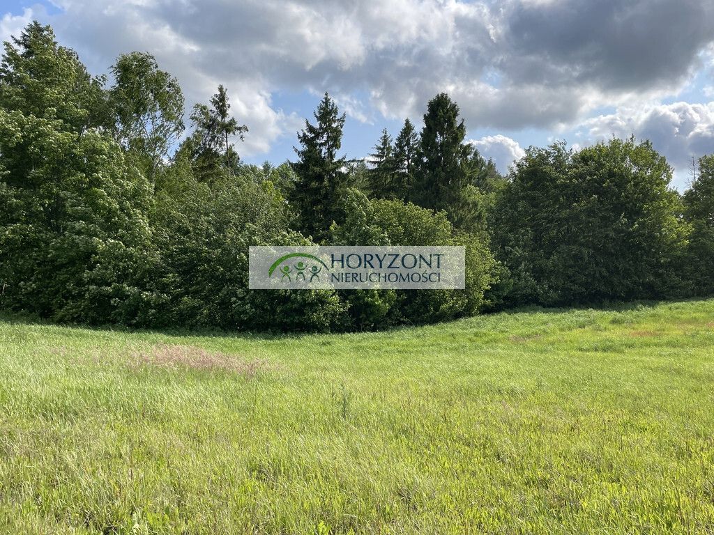 Działka budowlana Banino. Zdjęcie 6