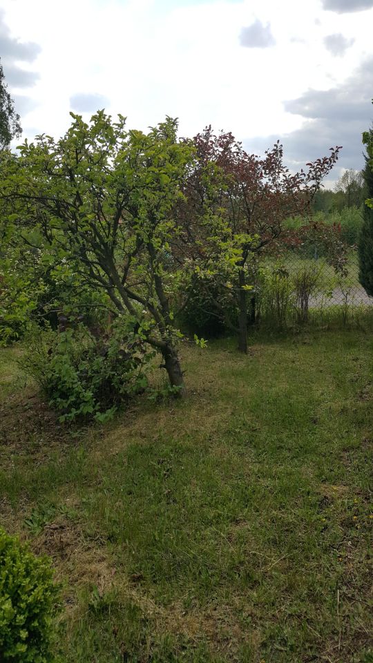 Działka budowlana Stary Imielnik. Zdjęcie 13