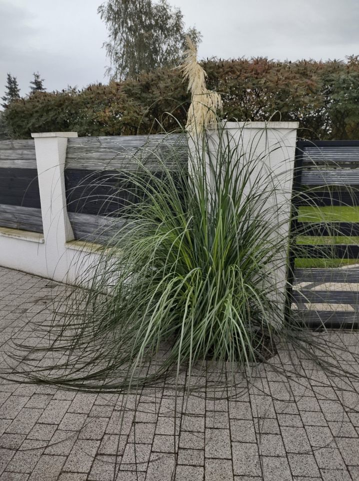 dom wolnostojący, 4 pokoje Kliniska Wielkie, ul. Piękna. Zdjęcie 20