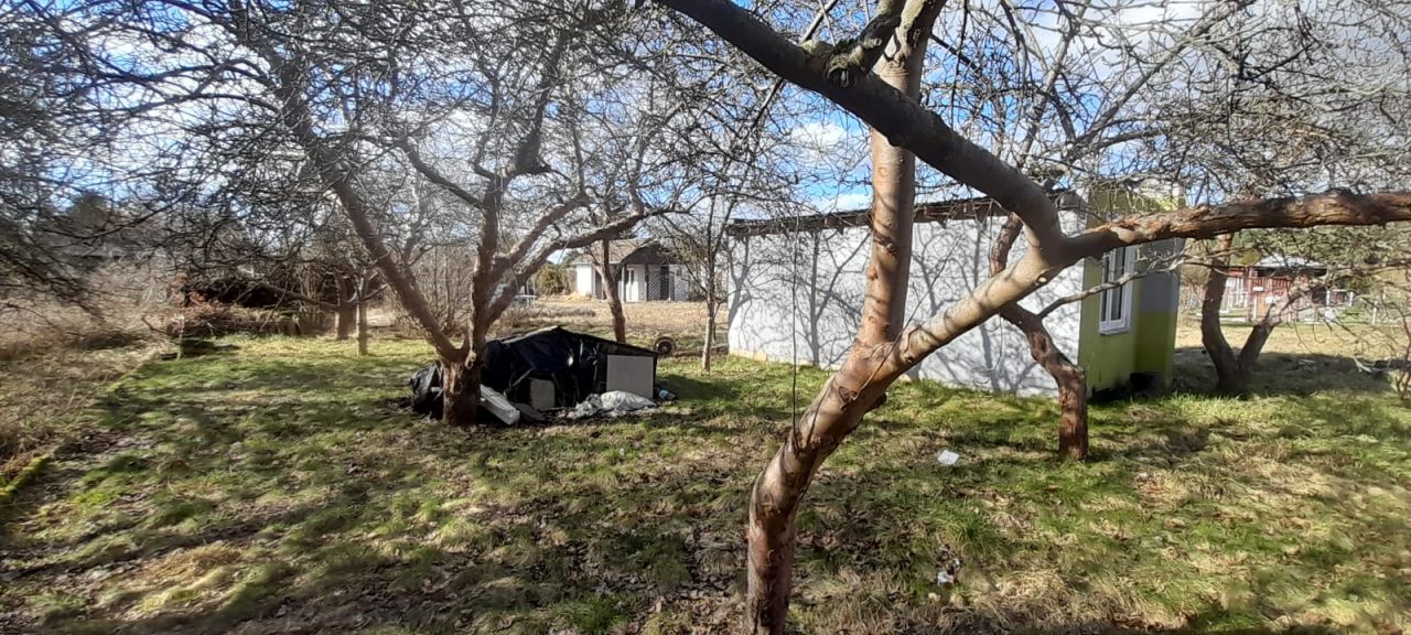 Działka rod Zielona Góra Ochla, ul. Ochla-Kożuchowska. Zdjęcie 6