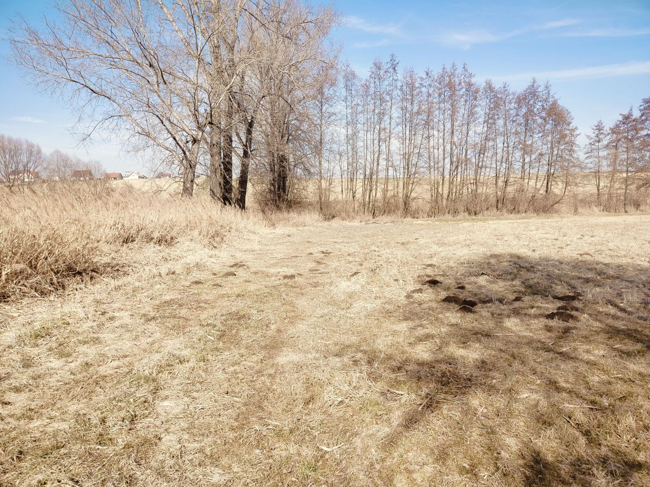 Działka rolna Piotrkowice Małe Kresy. Zdjęcie 6