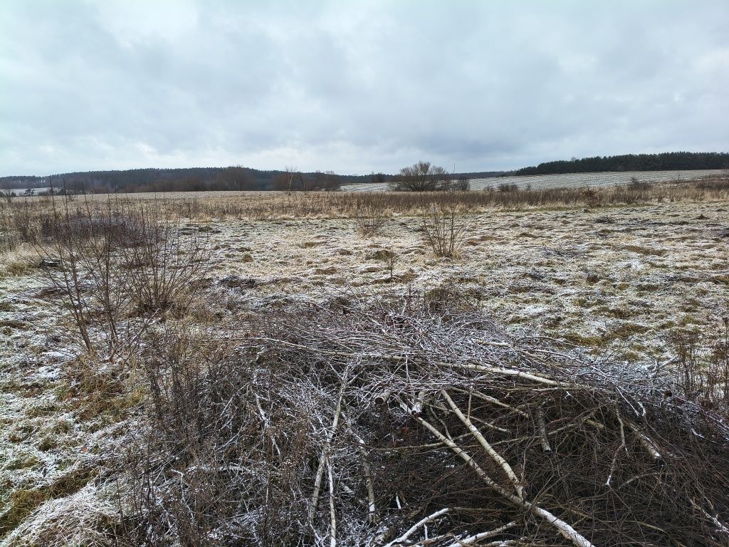 Działka budowlana Marcinowice, ul. Leśna. Zdjęcie 1