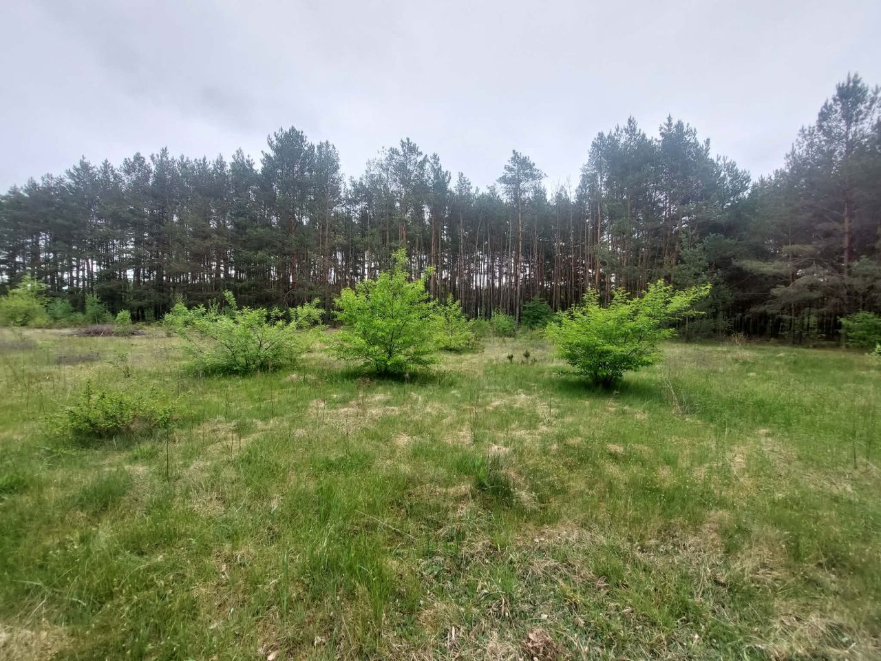 Działka budowlana Świniotop, Spacerowa. Zdjęcie 4