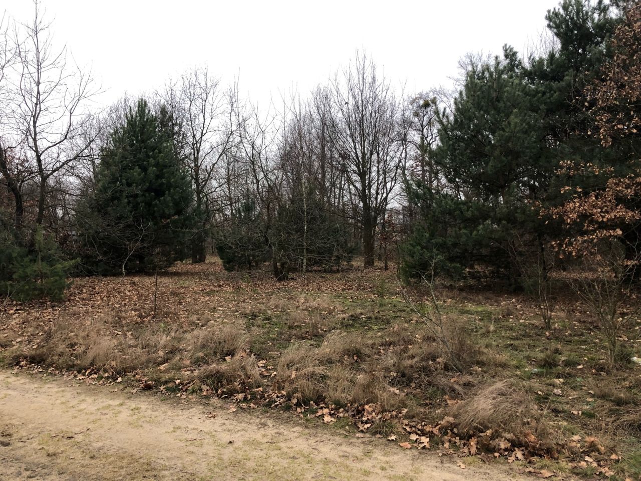 Działka budowlana Leoncin, ul. Podleśna. Zdjęcie 3