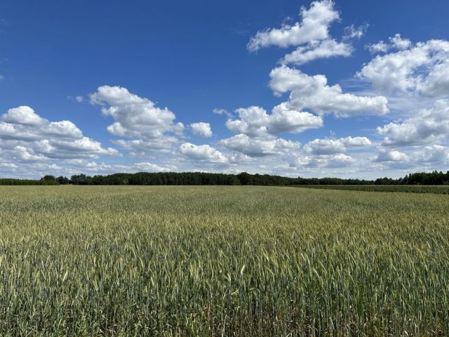 Działka rolna Siemiatycze. Zdjęcie 1