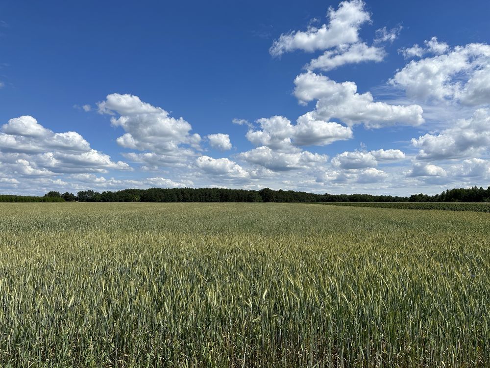 Działka rolna Siemiatycze