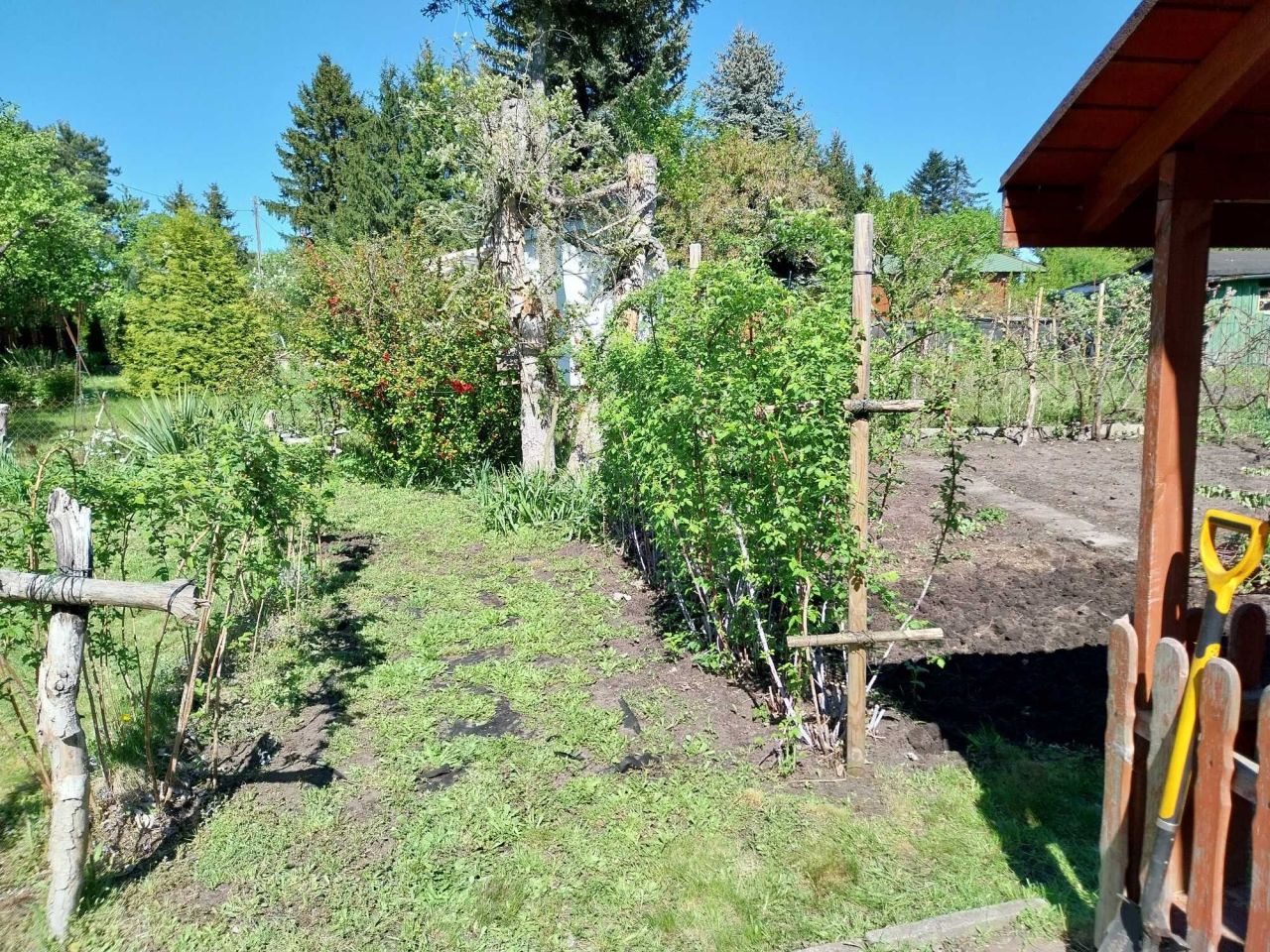 Działka rod Warszawa Włochy. Zdjęcie 2