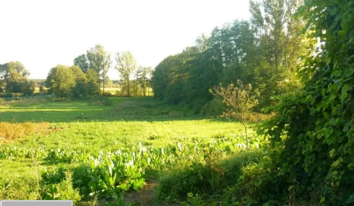 Działka rolna Pobiedna