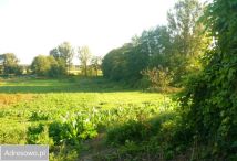 Działka rolna Pobiedna