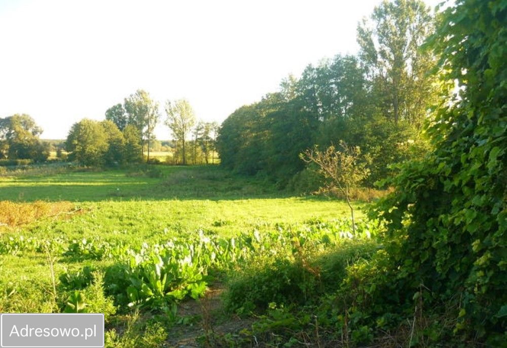 Działka rolna Pobiedna