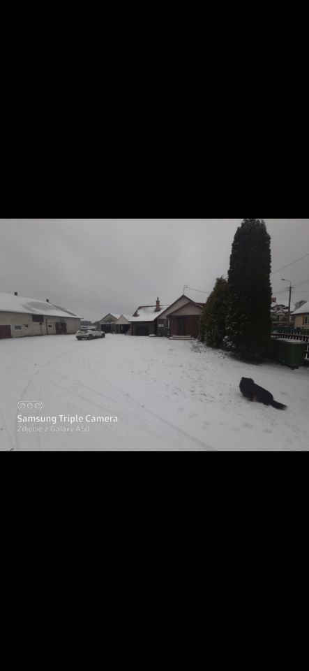 Nieruchomość komercyjna Konopki-Pokrzywnica. Zdjęcie 3