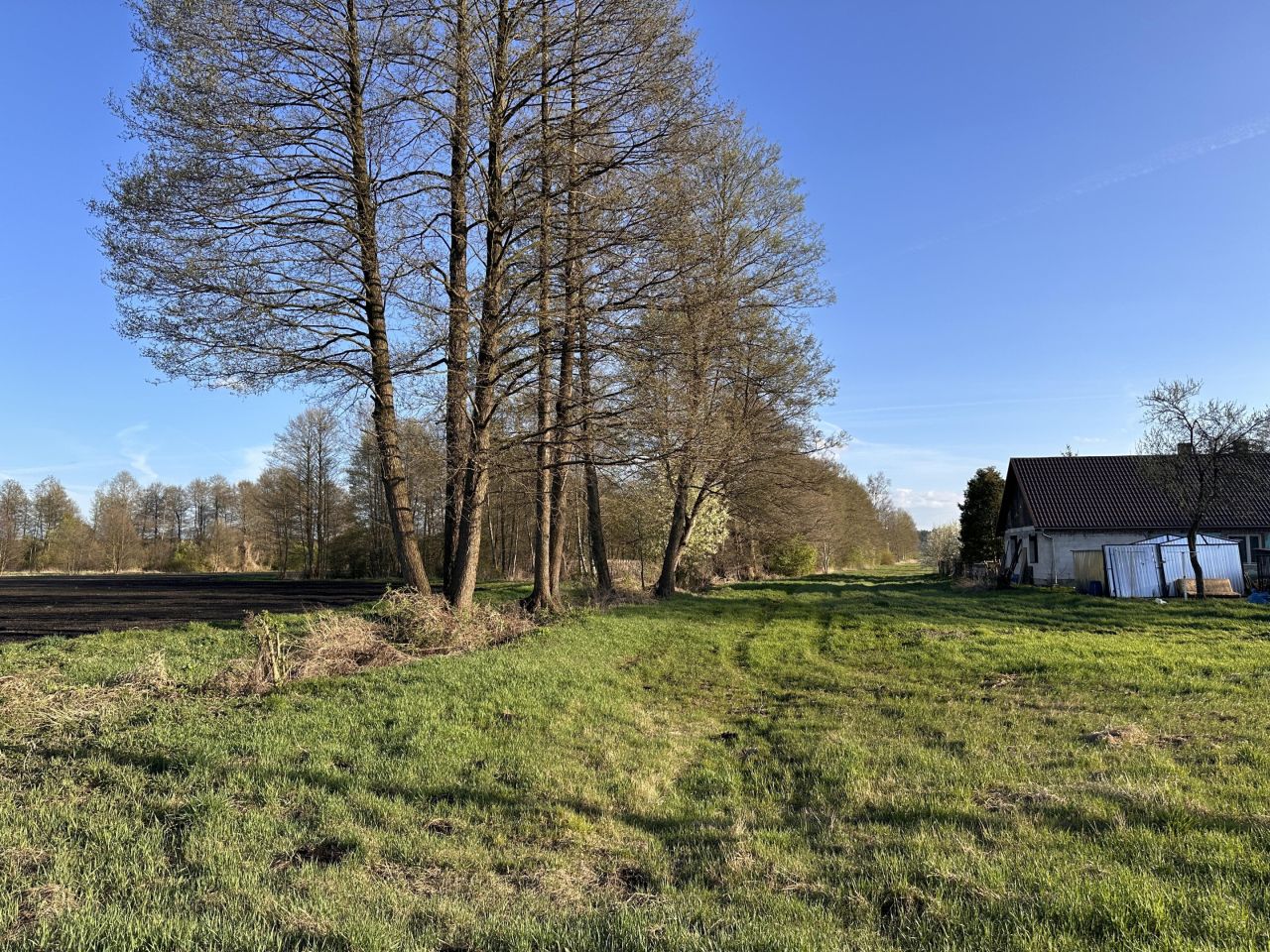 Działka budowlana Baranowice. Zdjęcie 6