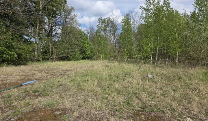 Działka inwestycyjna Zelów, ul. Stefana Żeromskiego