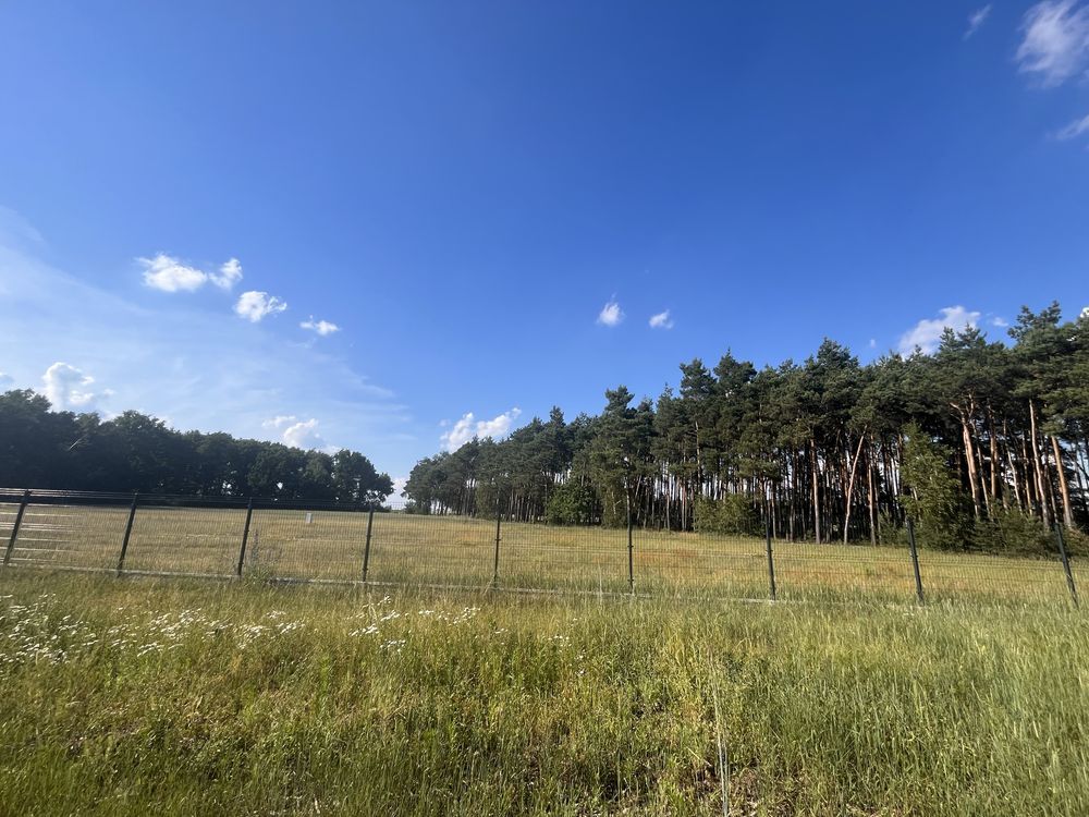 Działka budowlana Kościelec. Zdjęcie 6