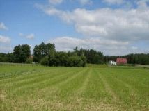 Działka rolno-budowlana Tuszyn Ogrodzonka, ul. Stefana Żeromskiego. Zdjęcie 4