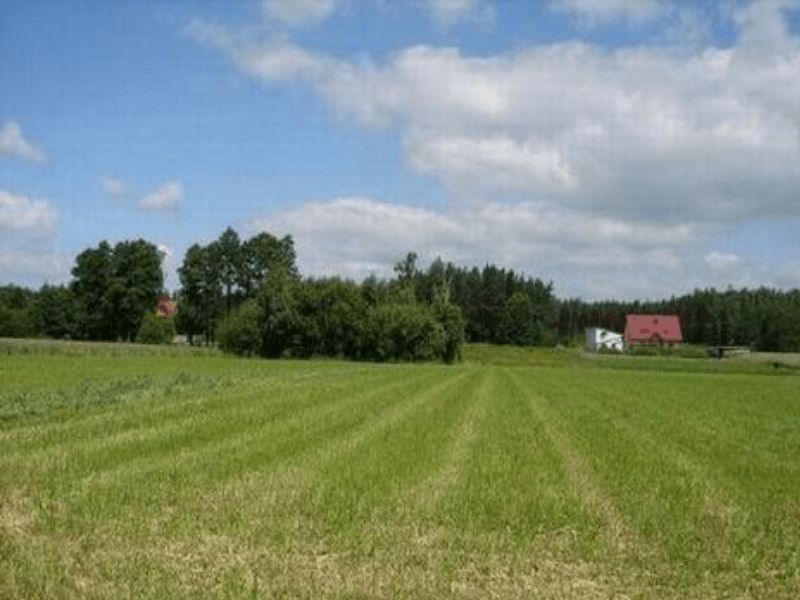 Działka rolno-budowlana Tuszyn Ogrodzonka, ul. Stefana Żeromskiego. Zdjęcie 5