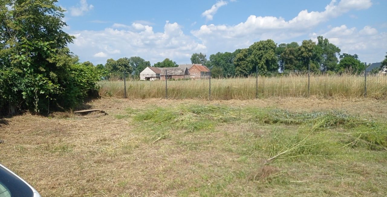 Działka budowlana Niedźwiedzice. Zdjęcie 2